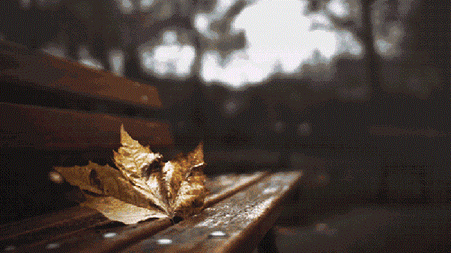 1221-55.gif