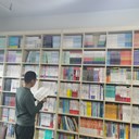 苑文龙