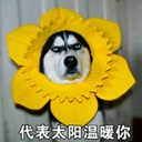 诡圣
