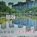 徐红伟