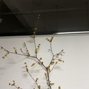 刘艺18280497100